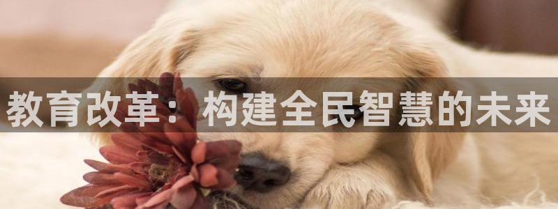 安信12娱乐平台