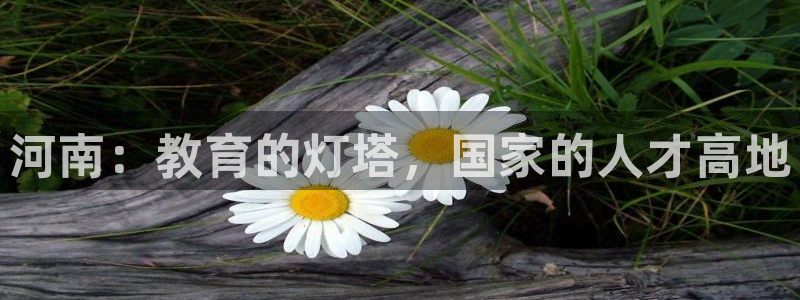 安信12级粉丝团福利