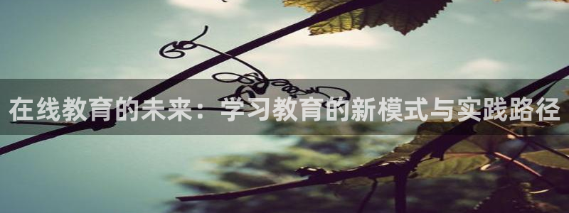 安信12娱乐代理