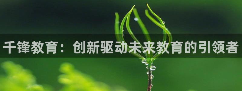 安信12平台介绍