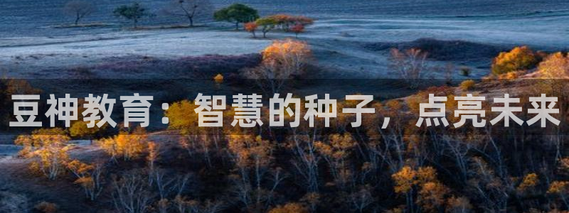 安信12位数资金号