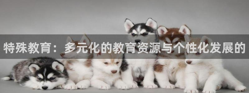 安信12是正轨网站吗